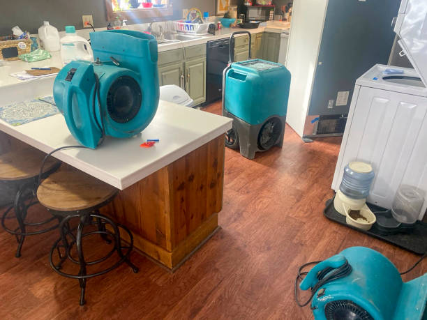 Best Water damage restoration near me  in Iowa Colony, TX
