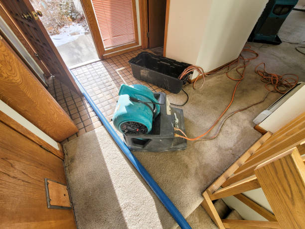 Best Residential water damage restoration  in Iowa Colony, TX