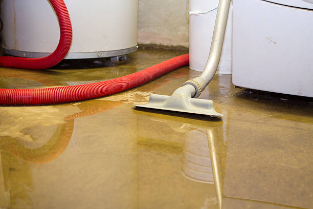 Best Water damage cleanup near me  in Iowa Colony, TX